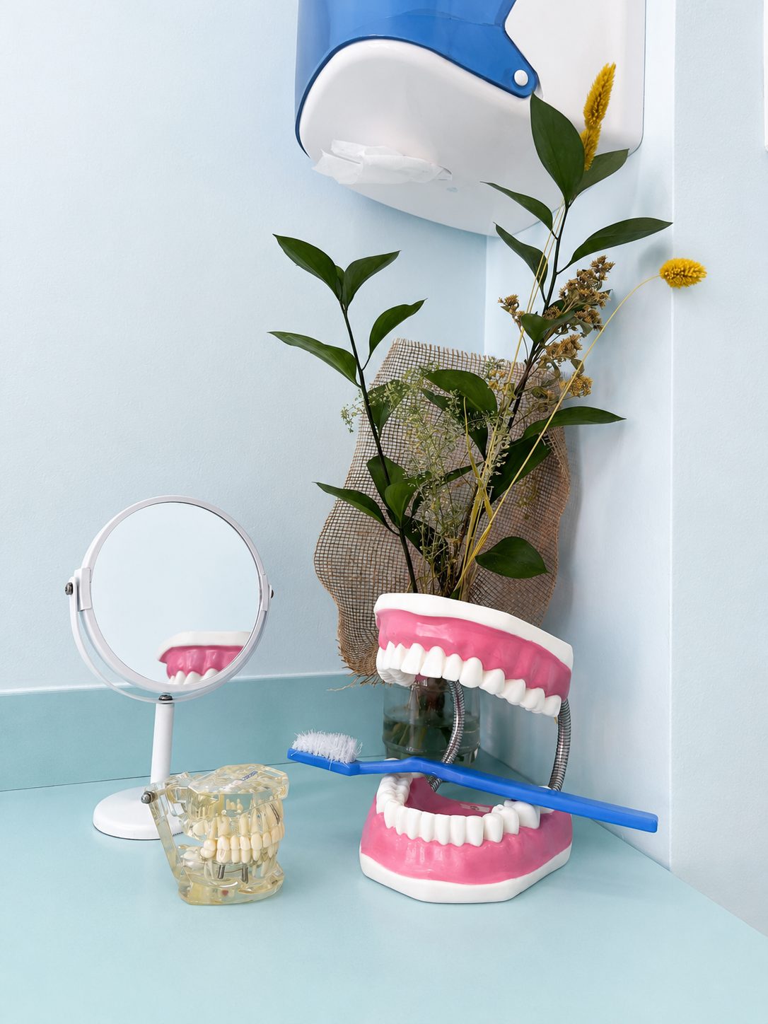Detalle de modelos de estudio dental en el gabinete